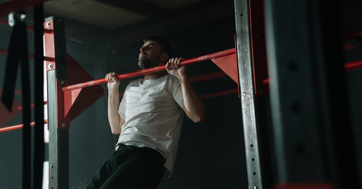 Macawgym Fitness Club collection